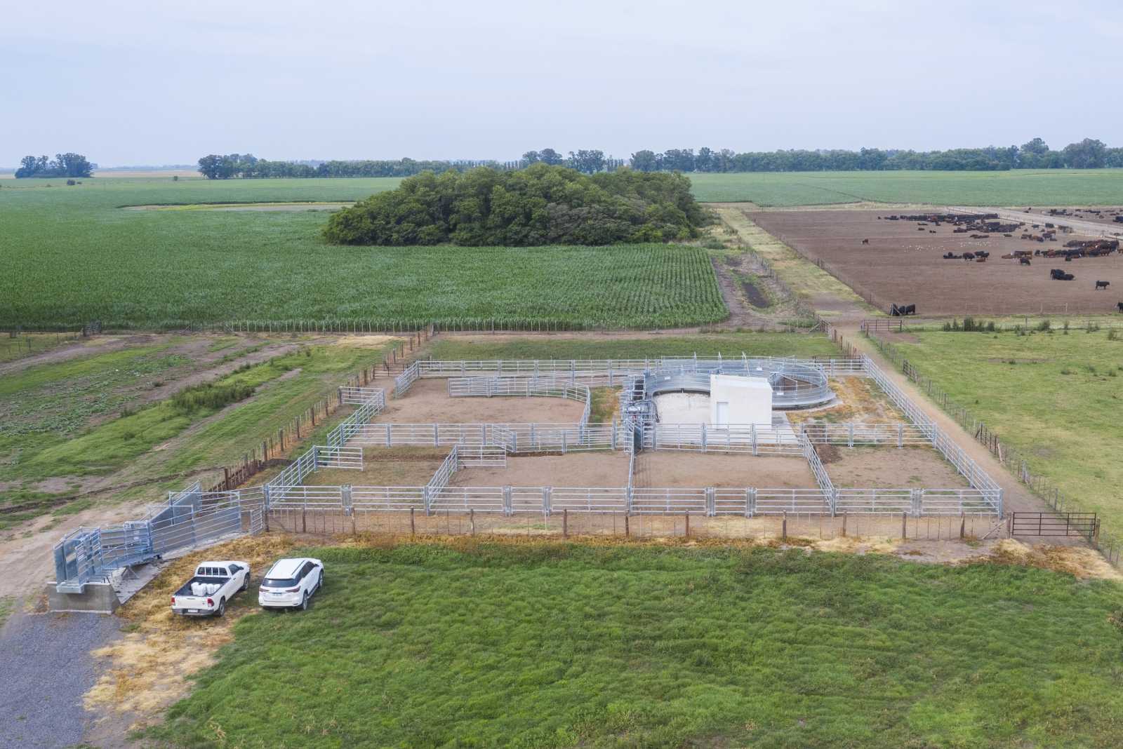 Instalación para Feedlot en 9 de Julio prov. de Buenos Aires