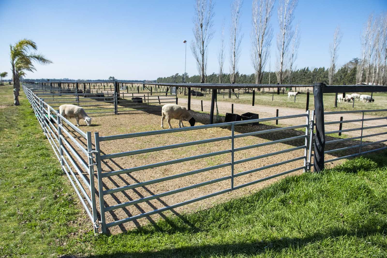 Equipamiento Farmquip en Cabaña Green & Black