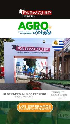 Agro En Punta