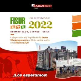 Fisur 2022