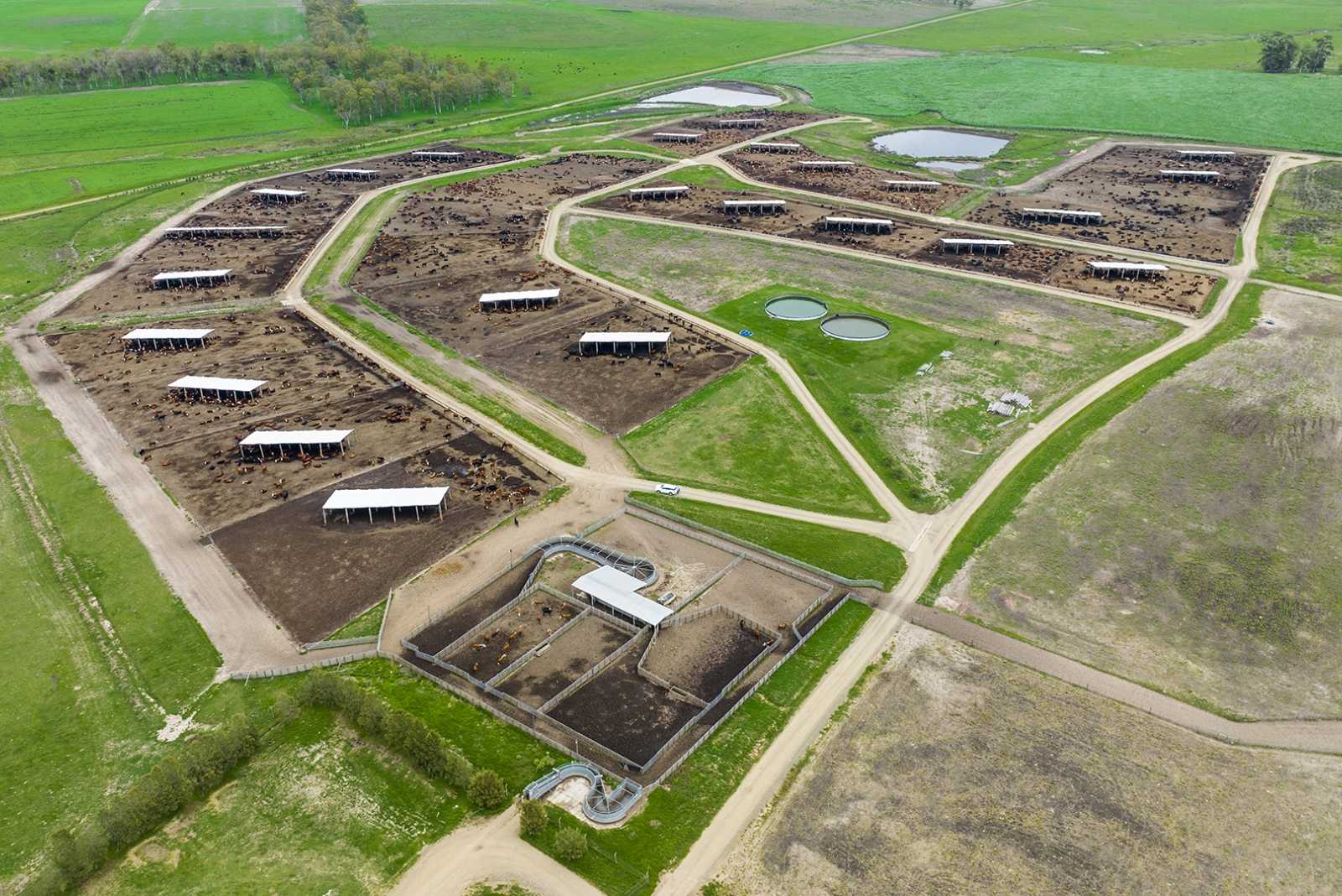 Instalación para Feedlot en Uruguay