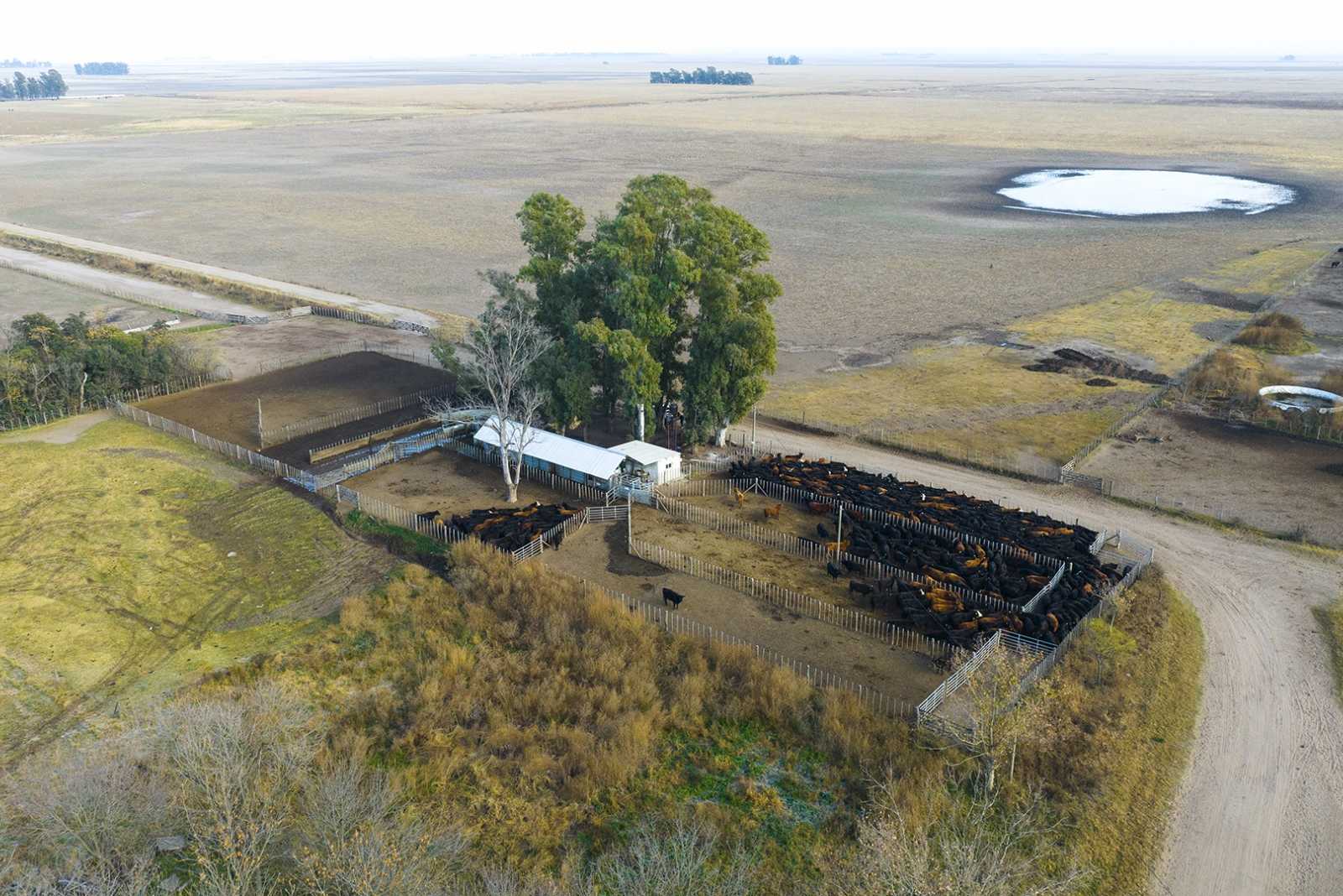 Instalación Farmquip para Campo de Cría en Pasteur