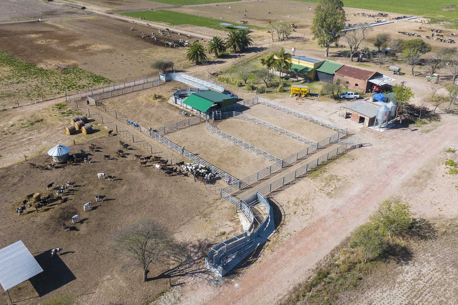 Instalación para Recría en Eusebia