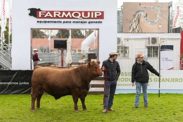 Expo Prado 2019