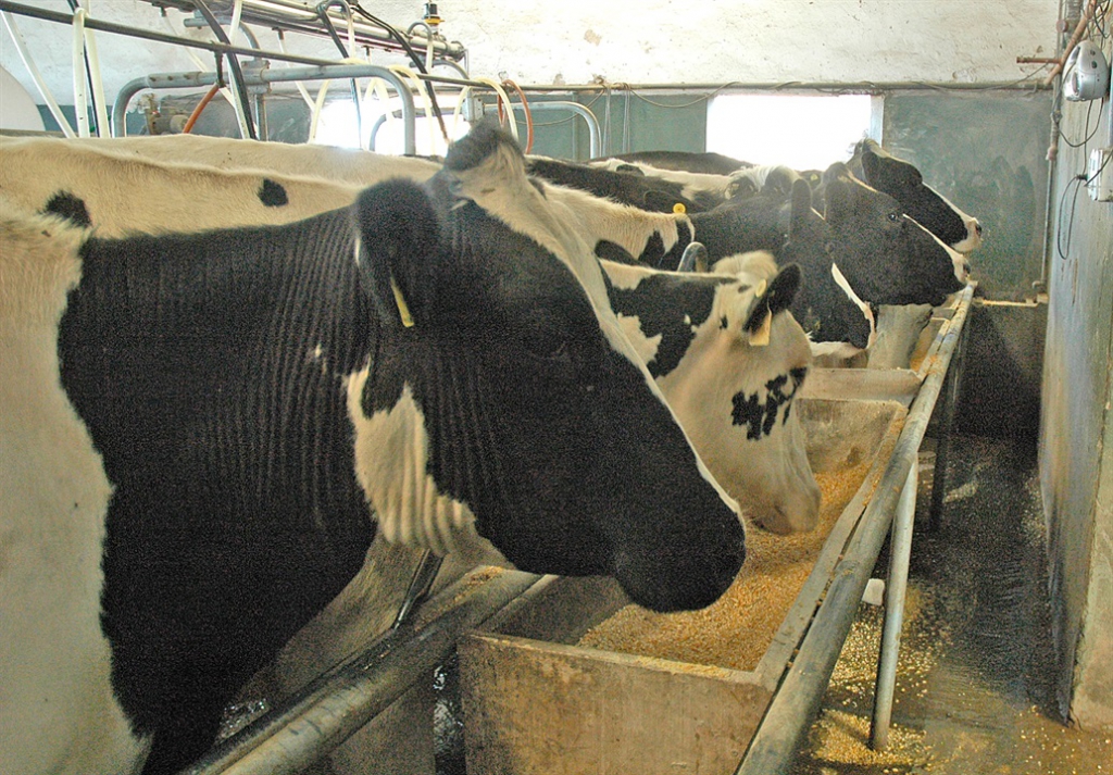 La sequía aumenta los costos de los tambos y reclaman ayuda