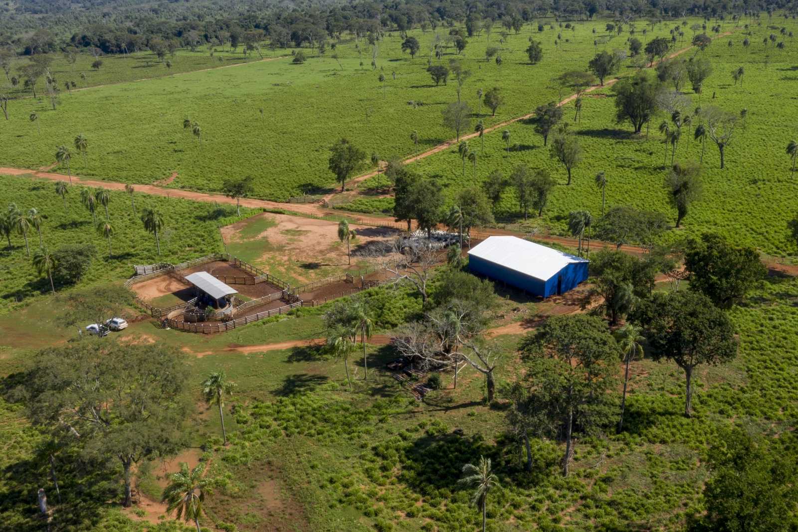 Manga Farmquip en Concepción Paraguay