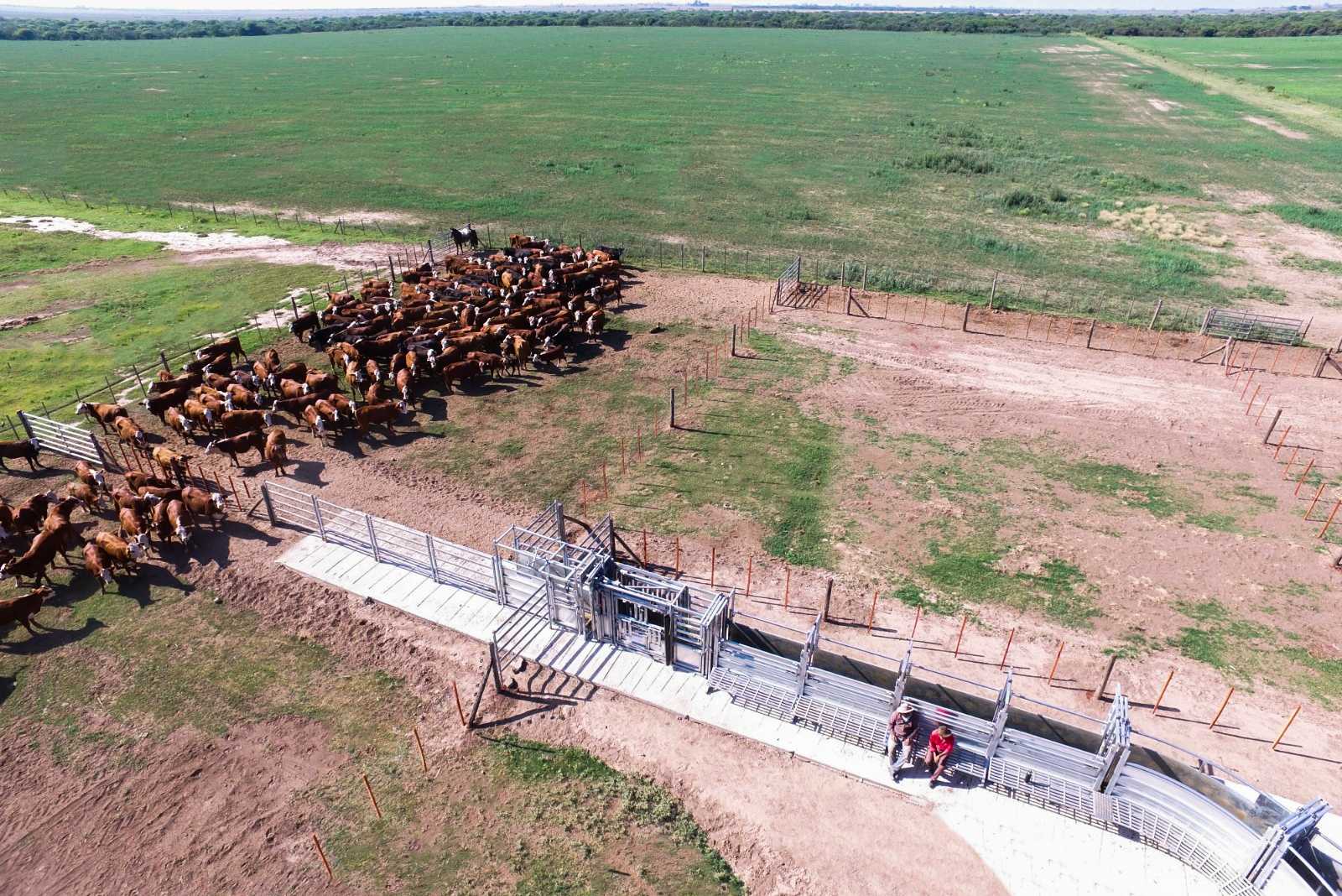 Campo de cría en la localidad de Alto Alegre