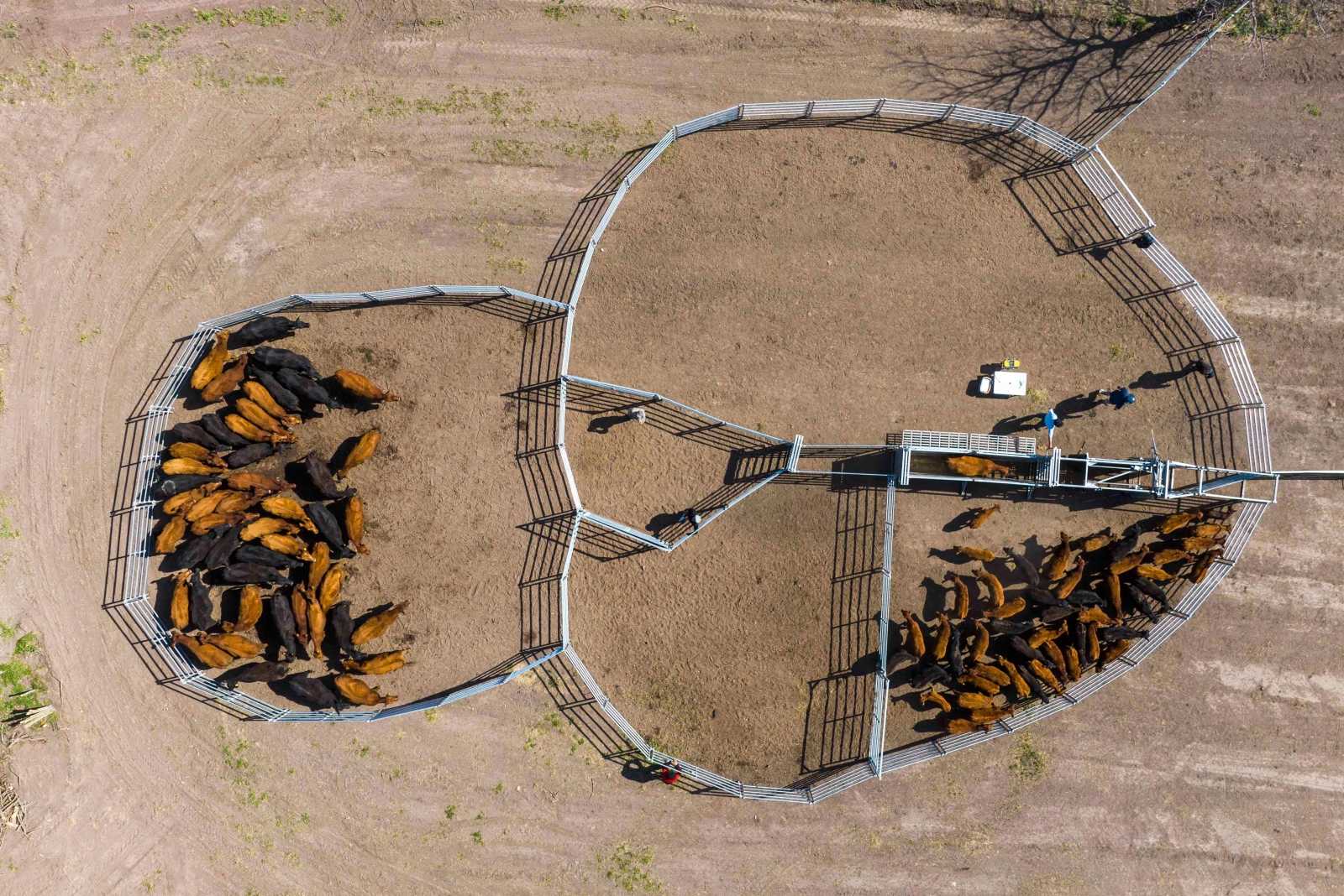 Corral Farmquip en Conesa prov. de Buenos Aires