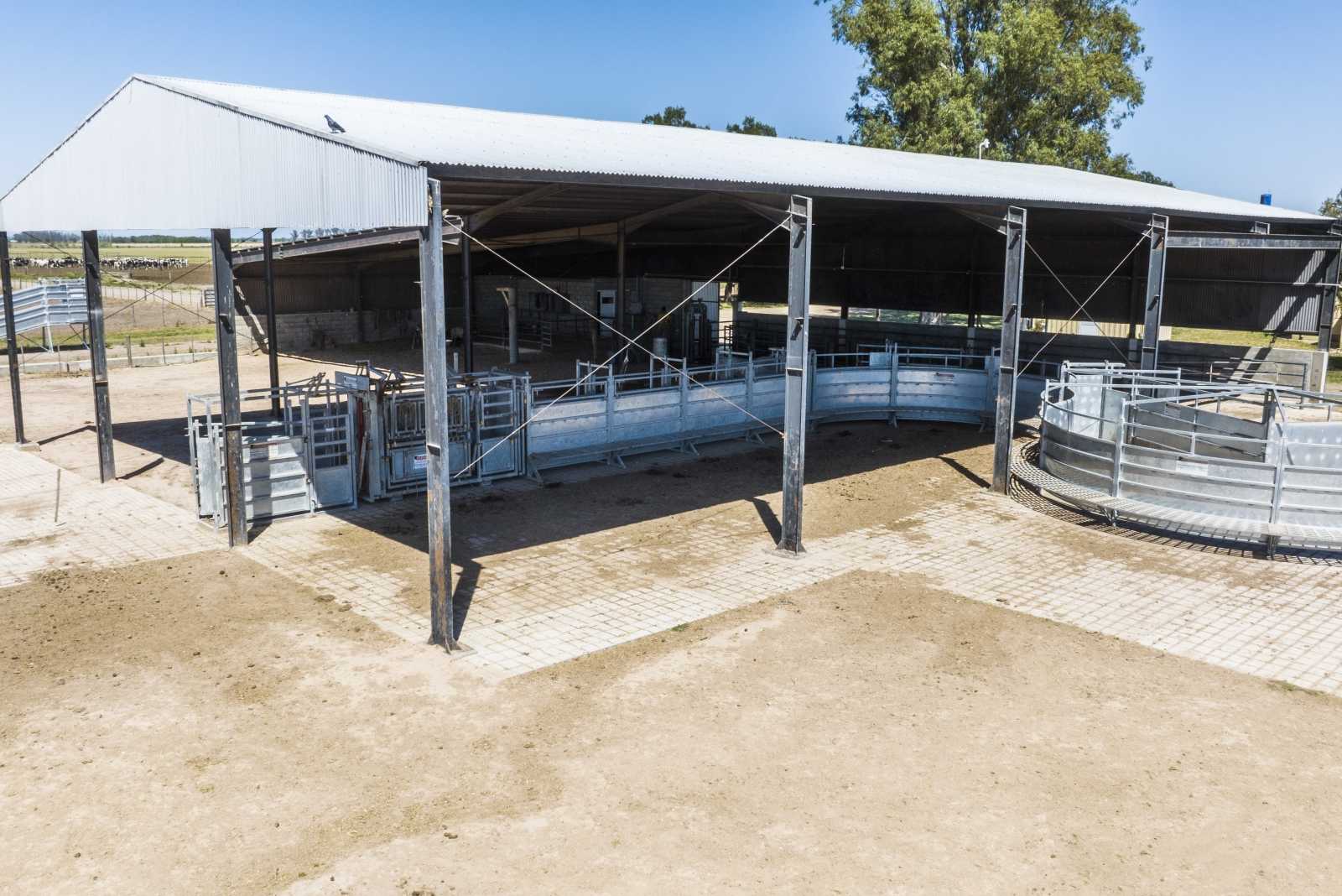 Instalación para Feedlot en Bell Ville prov. de Córdoba