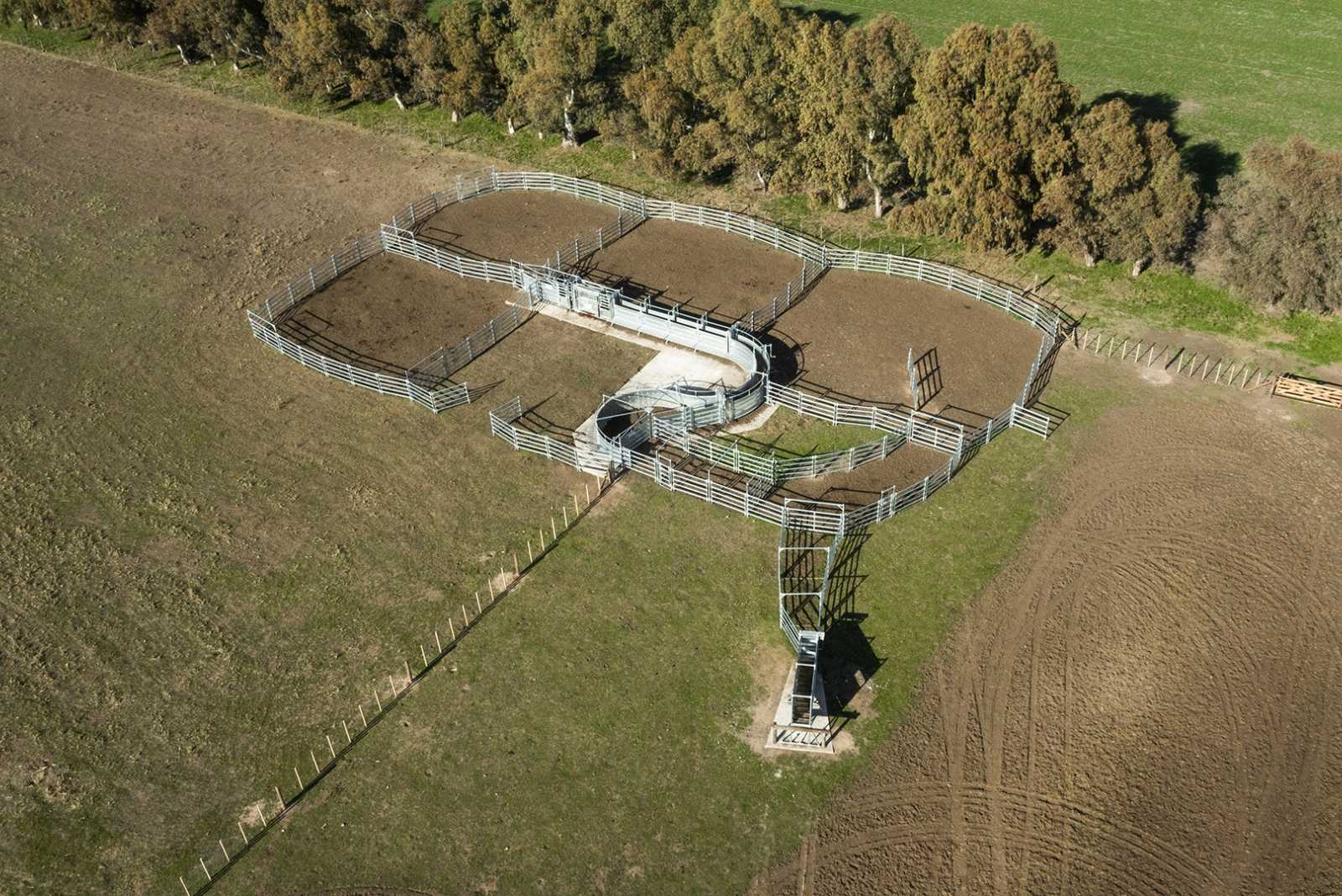 Corral para campo de cría en Tres Arroyos