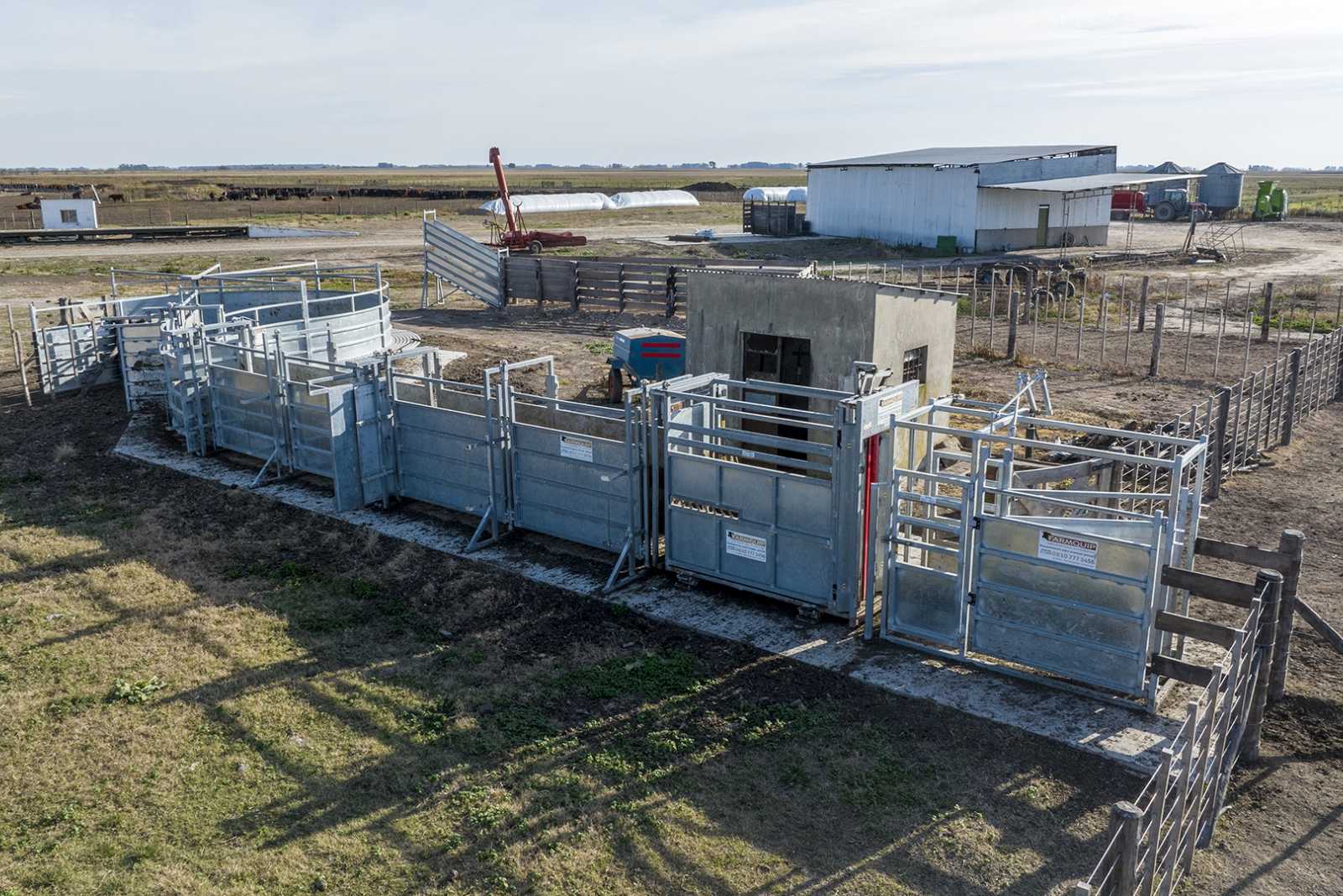 Manga para Feedlot en Cacharí prov. de Buenos Aires