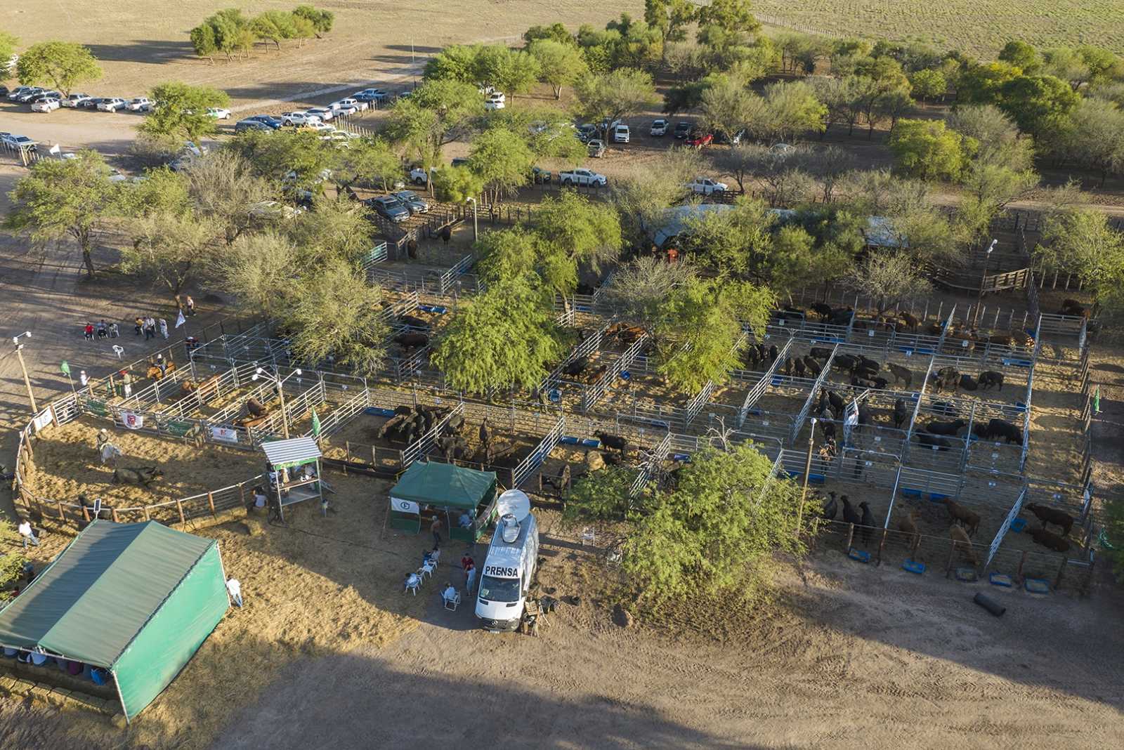 Instalación Farmquip para Remate en Santiago Del Estero