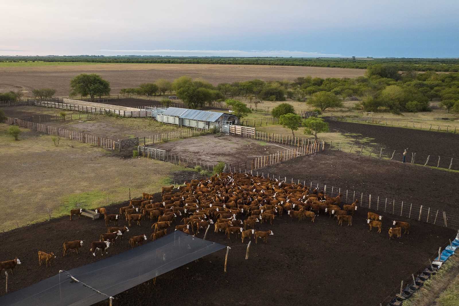 Instalación en campo de cría en Gualeguaychú, Entre Ríos