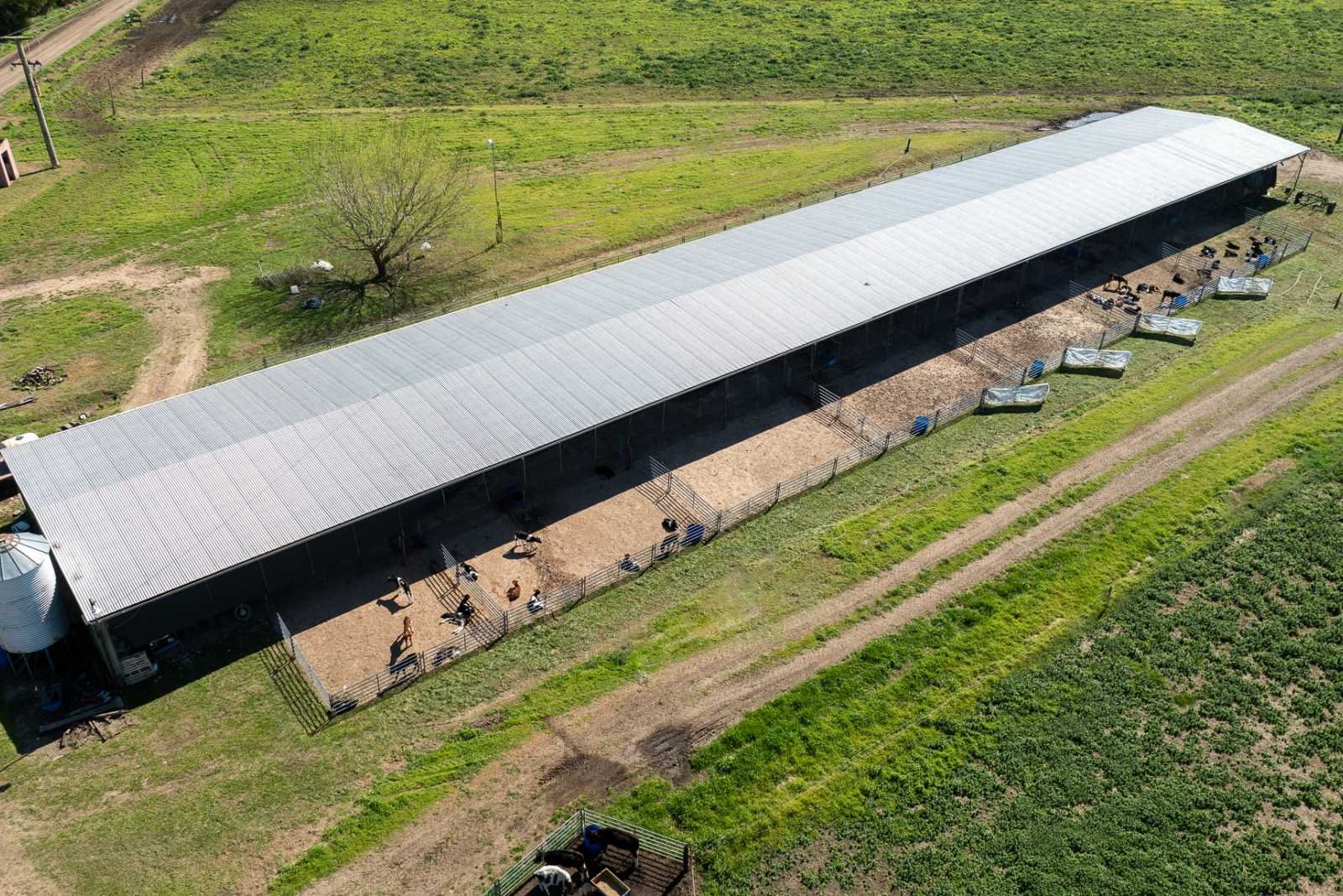 Corrales para Terneros con Paneles Farmquip en Lobos, Buenos Aires