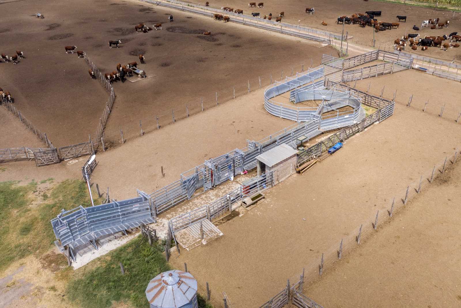 Feedlot en Maciel provincia de Santa Fe