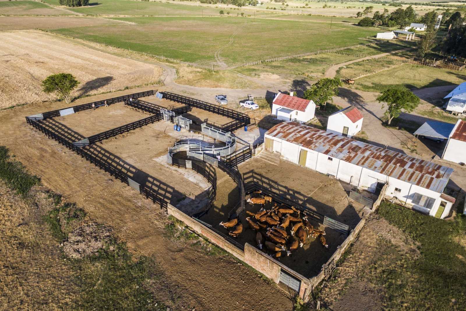 Instalación Completa en Florida, Uruguay