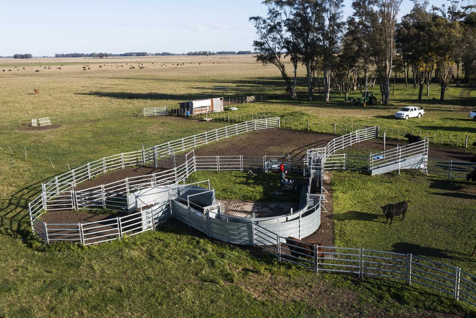 Instalación para Campo de Cría en prov. de Buenos Aires