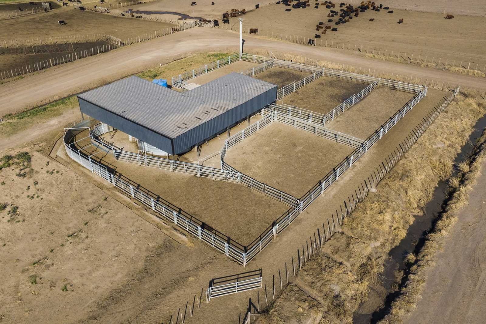 Instalación para Feedlot en Coronel Granada