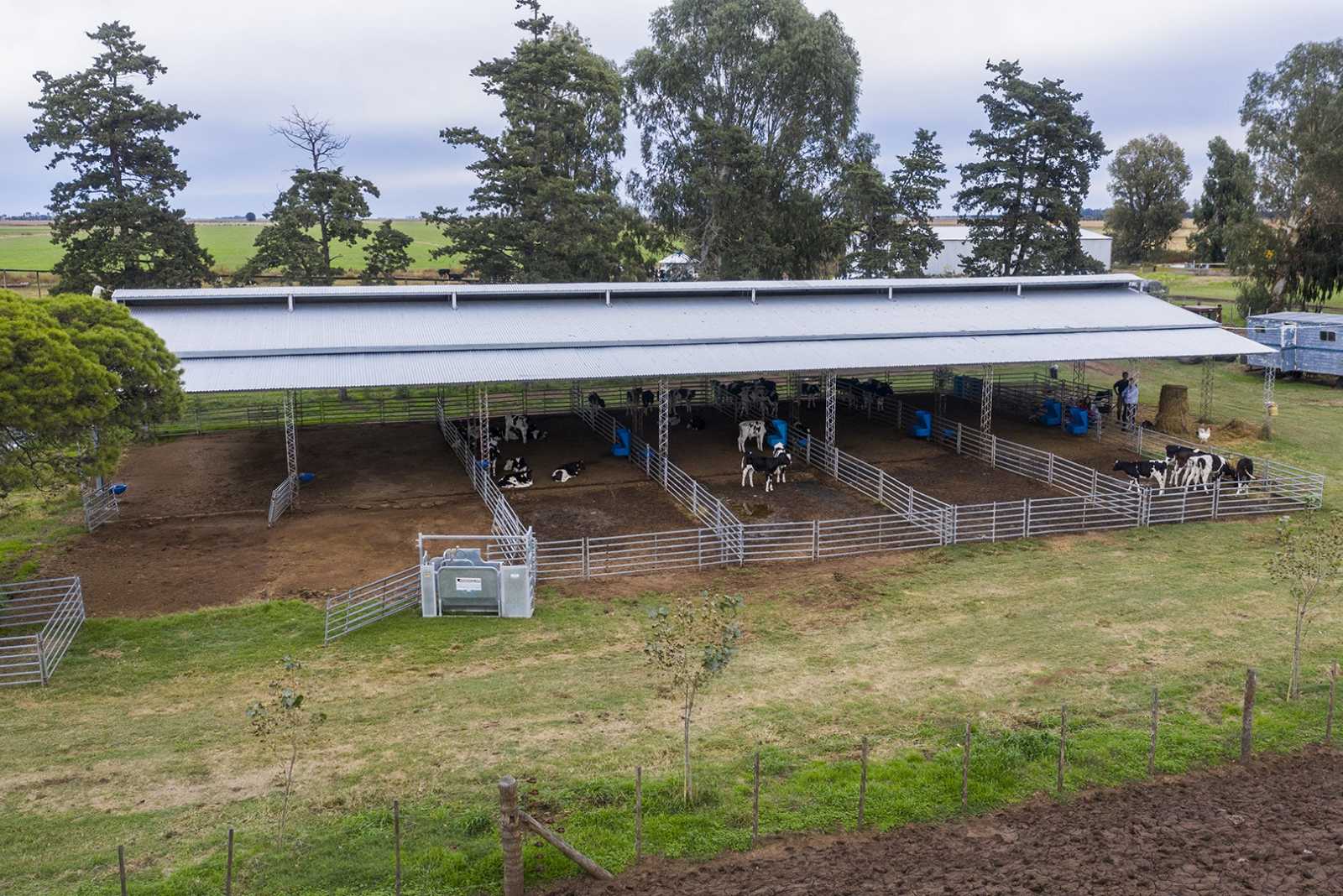 Instalación para Crianza de Terneros en Trenque Lauquen