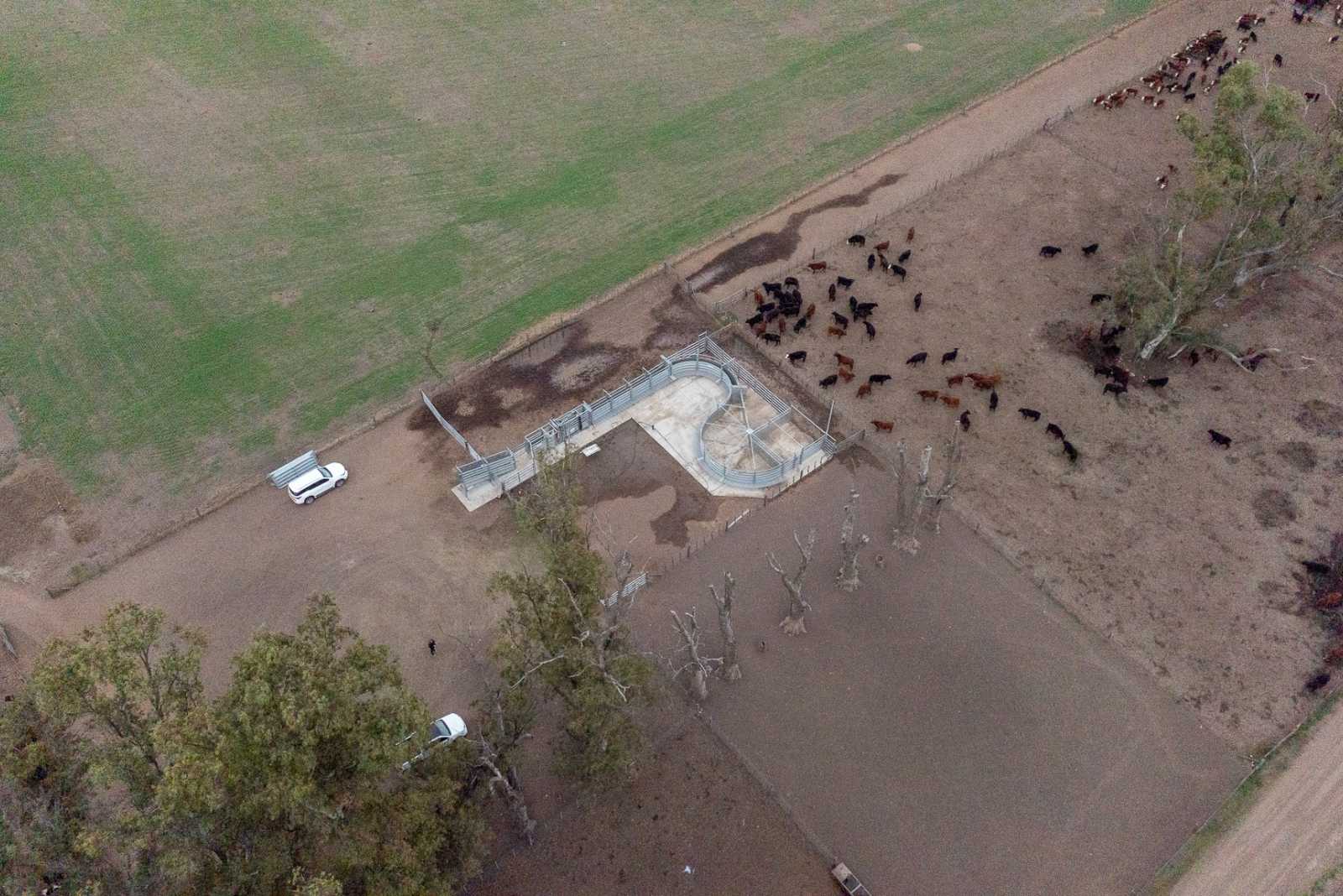 Feedlot en Cafferata provincia de Santa Fe