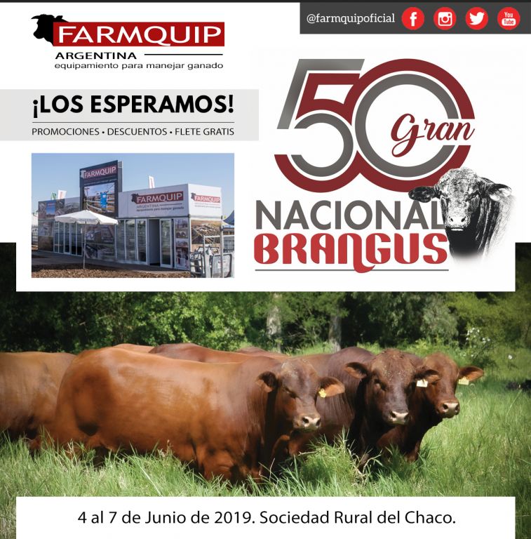 Nacional Brangus 2019