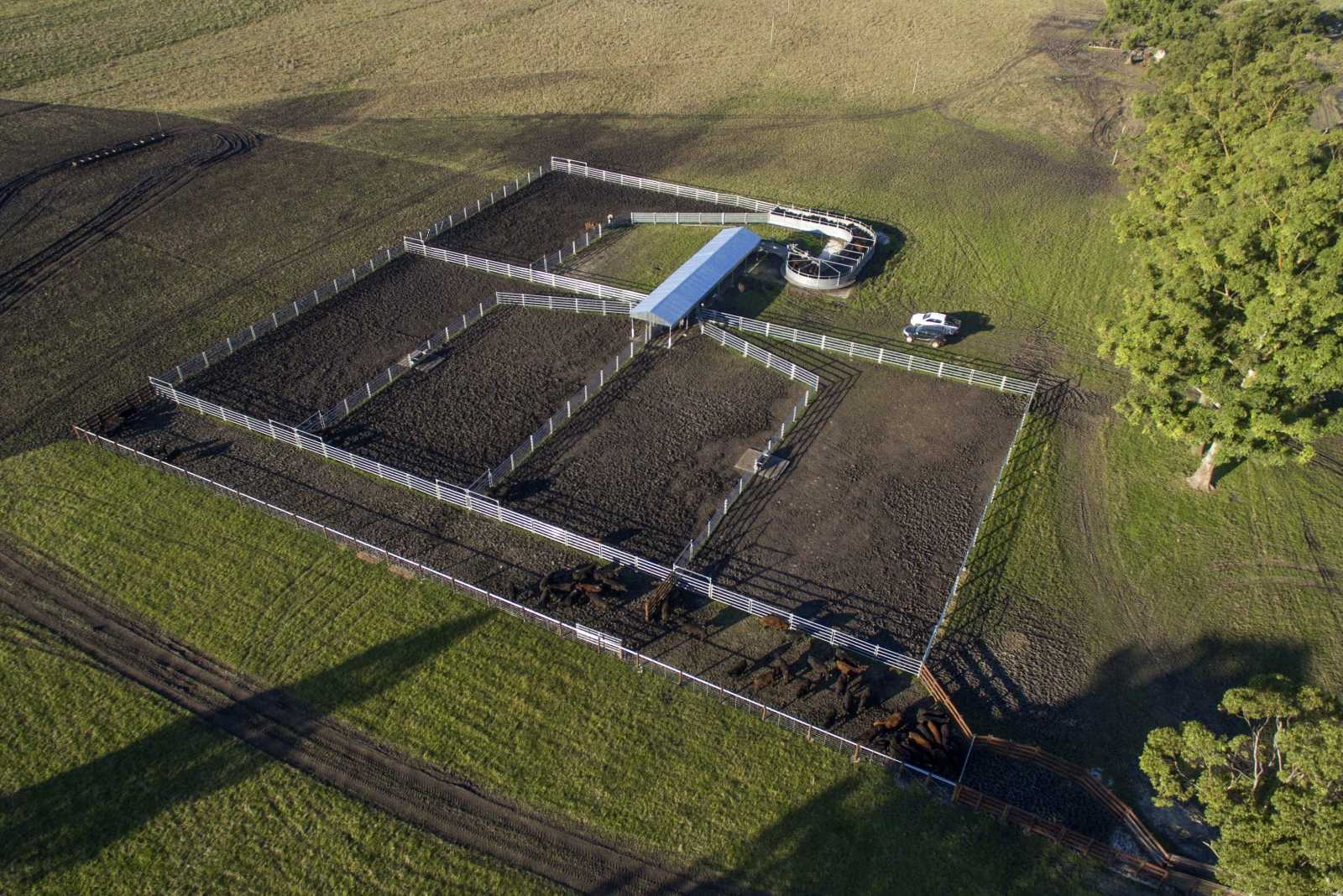 Instalación para Campo de cría en Concordia Entre Ríos