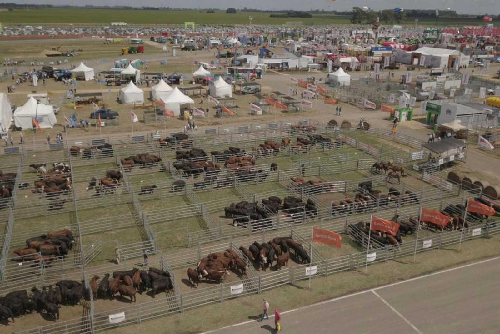 Expoagro. Potenciar la cadena de ganados y carnes, objetivo presente