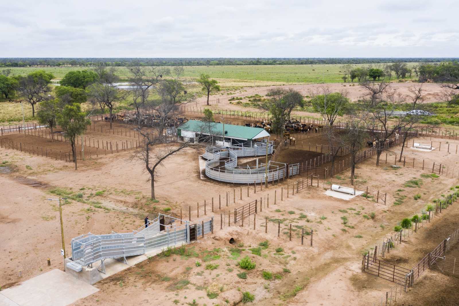 Feedlot en Las Lajitas, Salta, Argentina