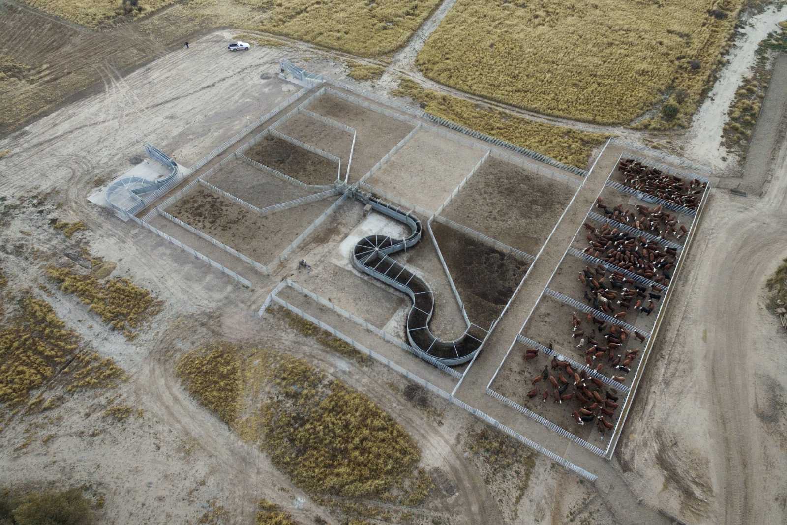 Feedlot en la Ciudad de Villa de María del Río Seco, Córdoba