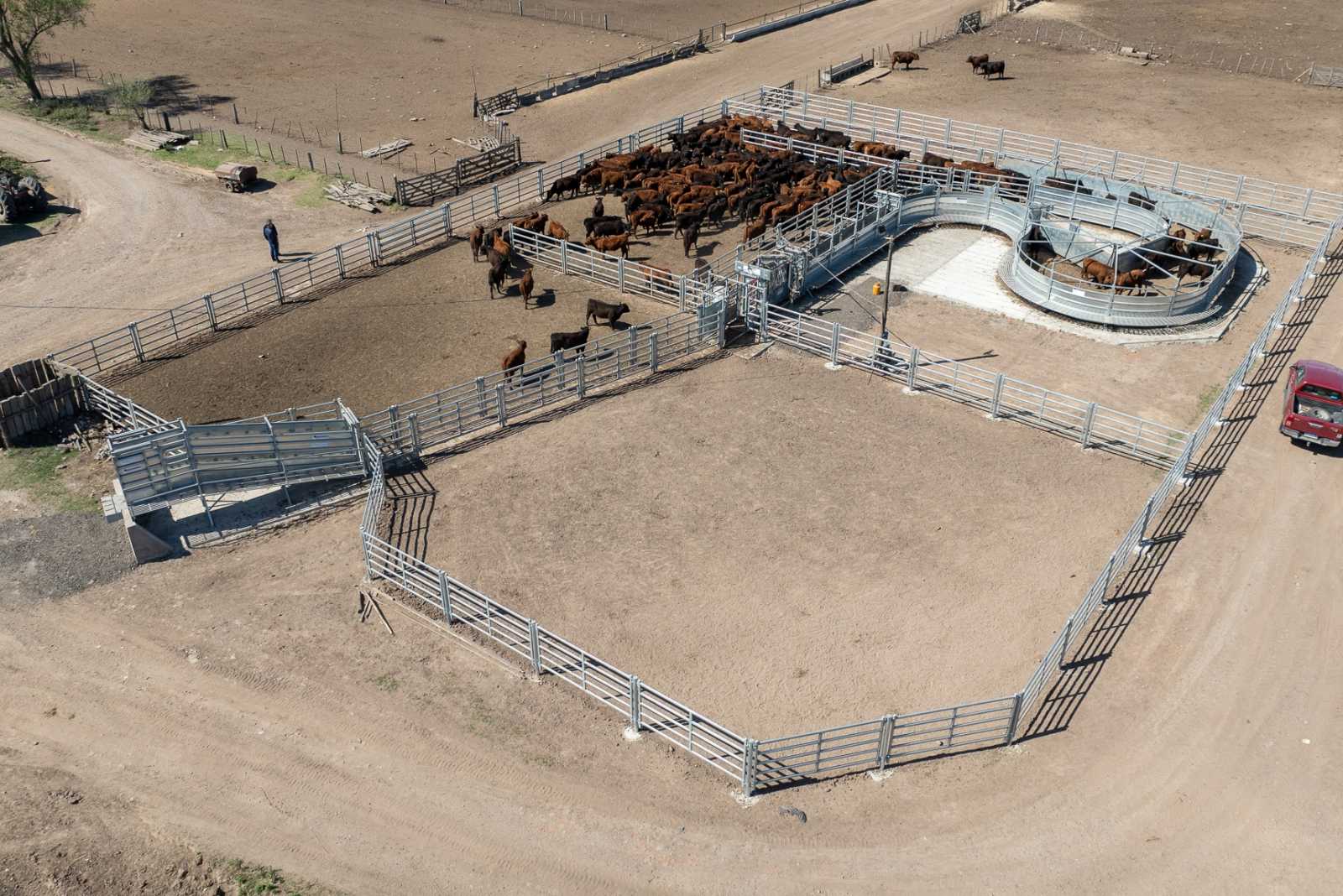 Instalación para Feedlot para la empresa Agro-Tacuapi S.A.