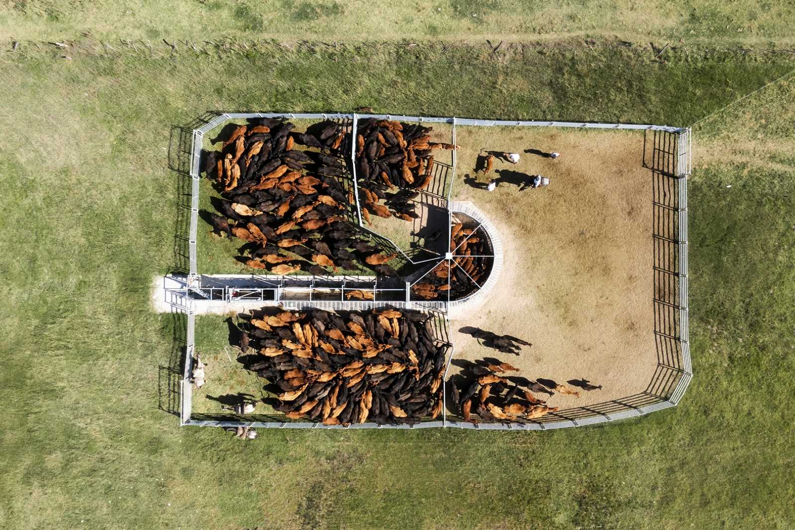 Corral Farmquip para Campo de Cría en Gorostiaga prov. de Buenos Aires