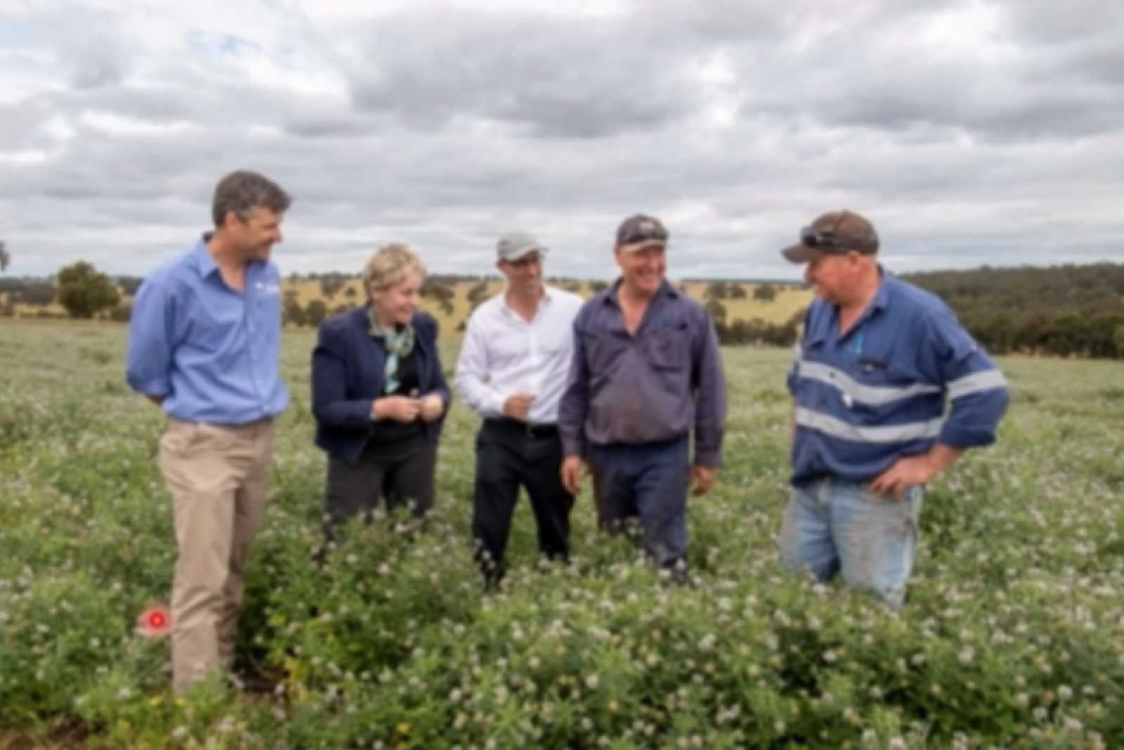 ¿Cómo se prepara Australia para tener pasto en sequías?