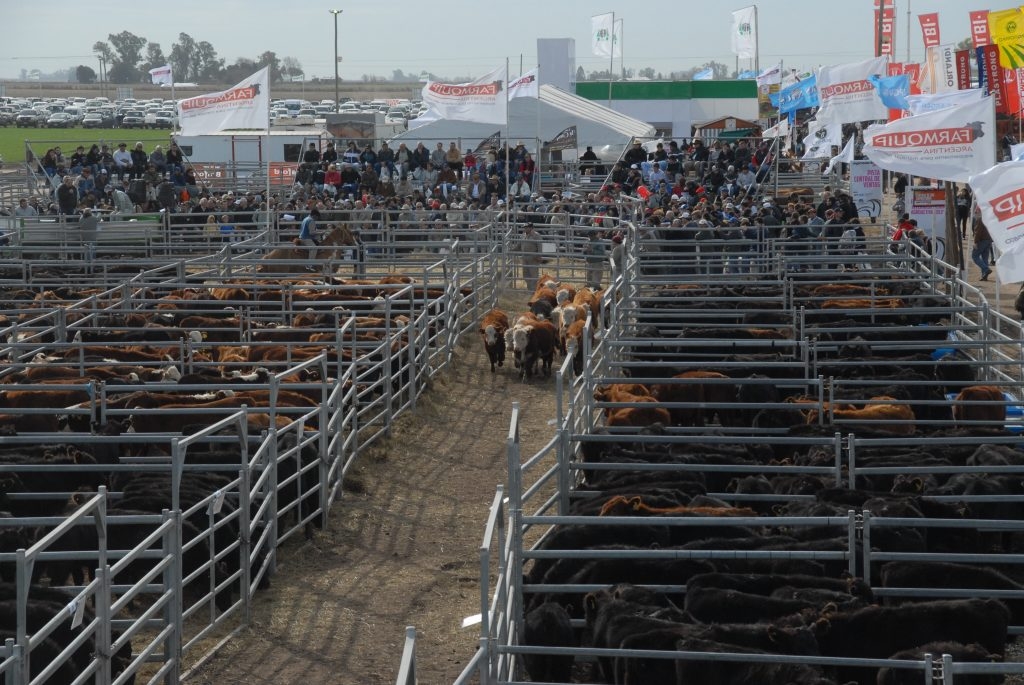 Farmquip, pilar fundamental de los diez años de AgroActiva Ganadera