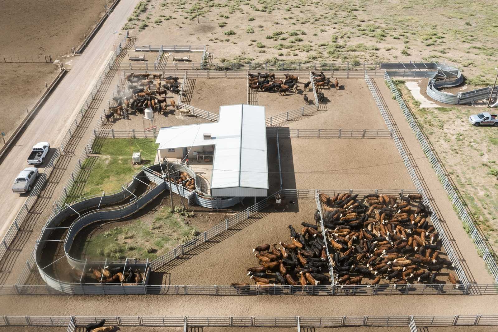 Instalación para Feedlot en Quimilí, Santiago del Estero