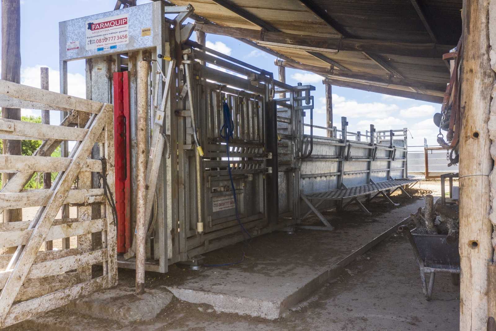 Feedlot en Barrancas provincia de Santa Fe