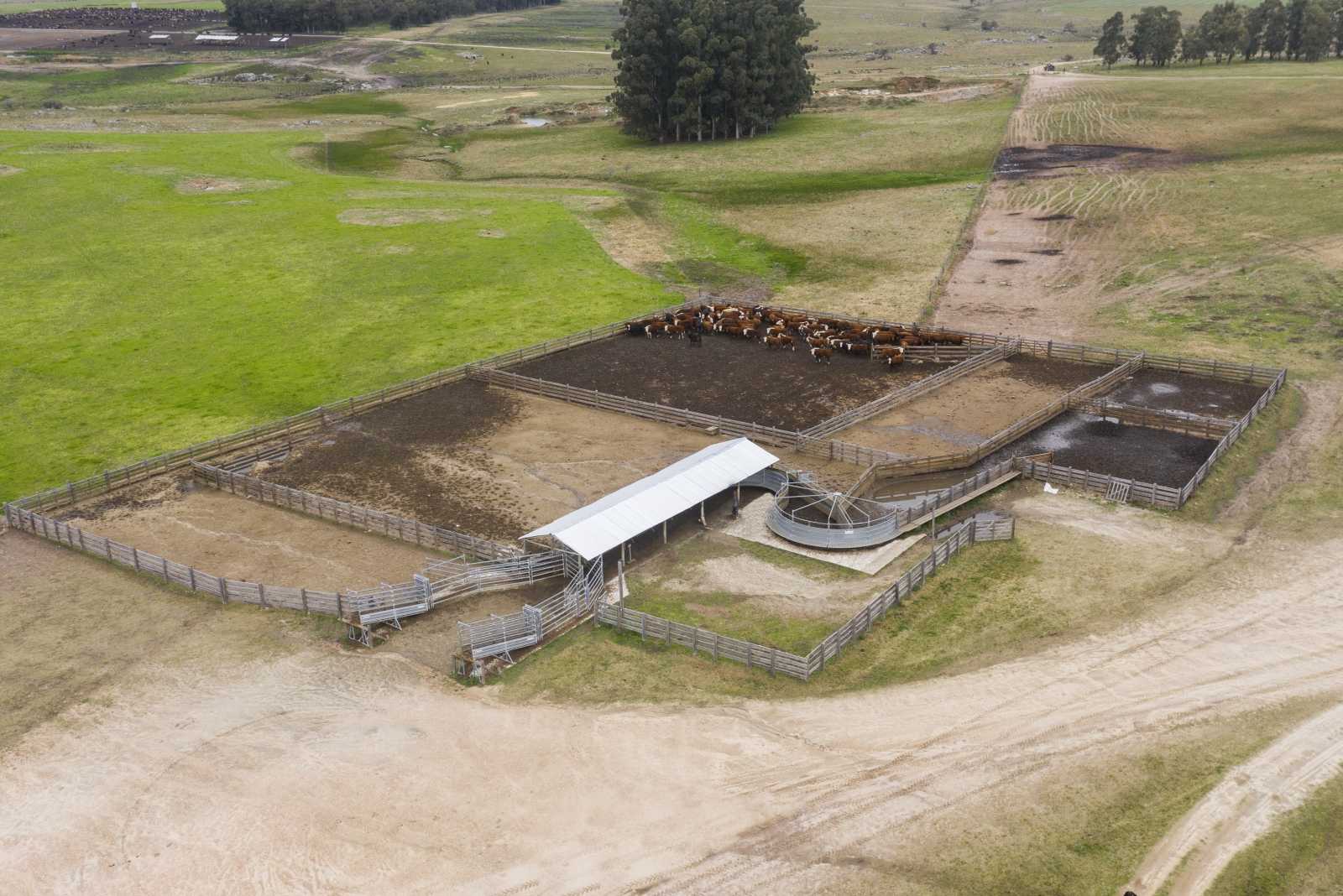 Manga Farmquip en Chamangá Uruguay