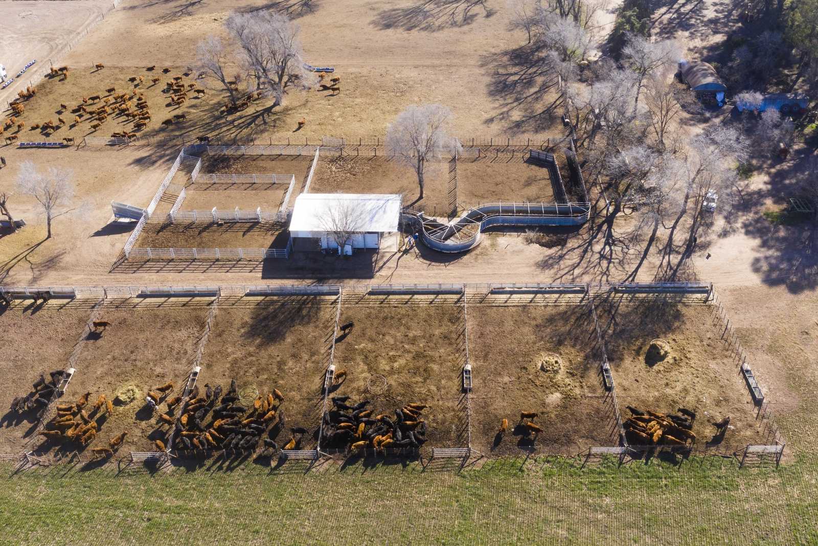 Instalación para Feedlot en 9 de Julio prov. de Buenos Aires