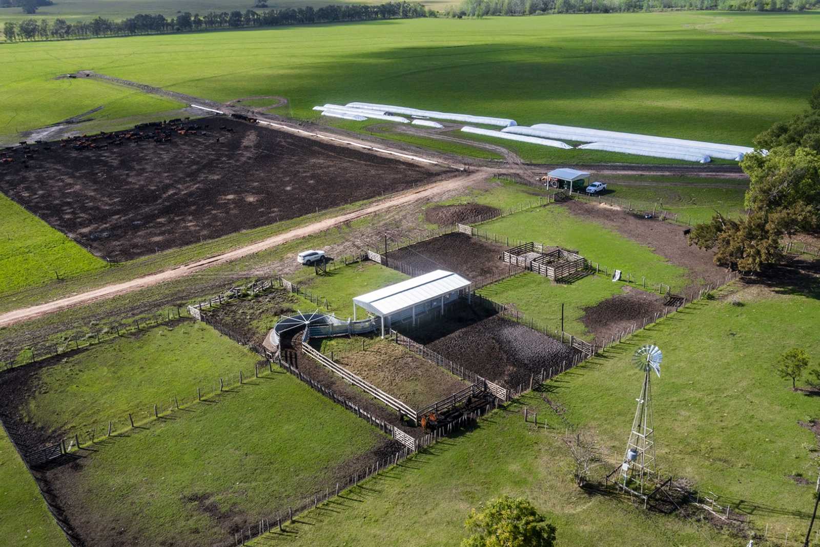 Manga Completa Farmquip en Concepción del Uruguay prov. de Entre Ríos