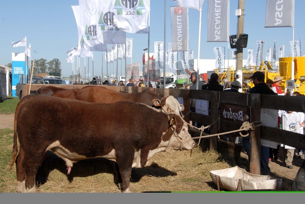 Reconocidas cabañas diez años junto a AgroActiva Ganadera