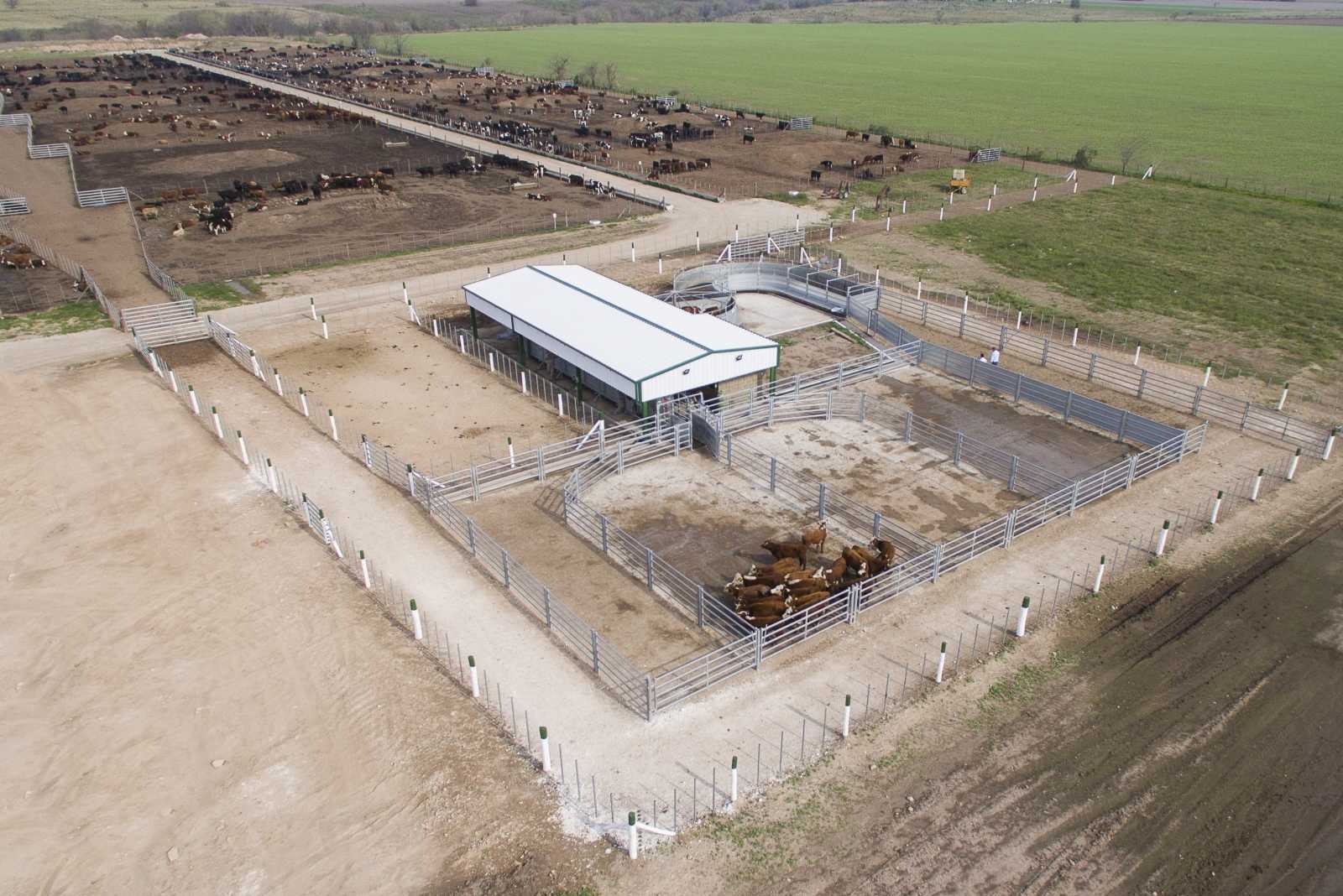 Feedlot en Arroyo Seco, Santa Fe