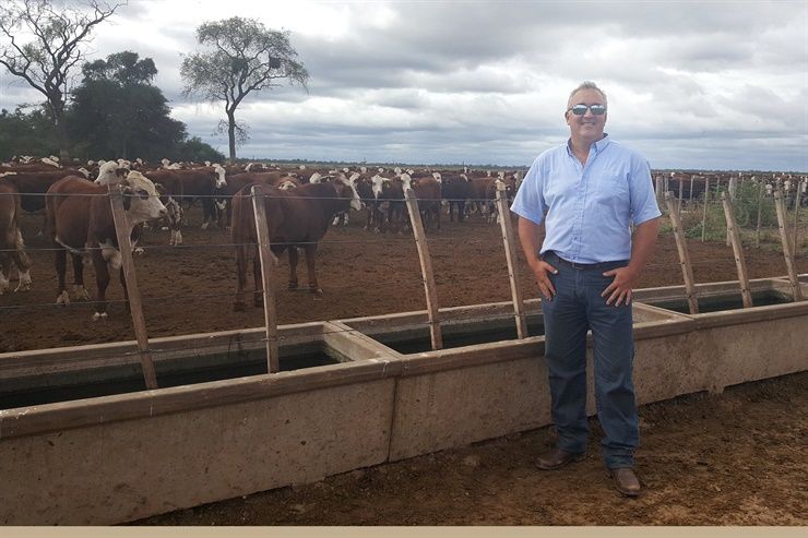 De punta y moderna: en Salta, combinan el ciclo ganadero completo con agricultura de avanzada