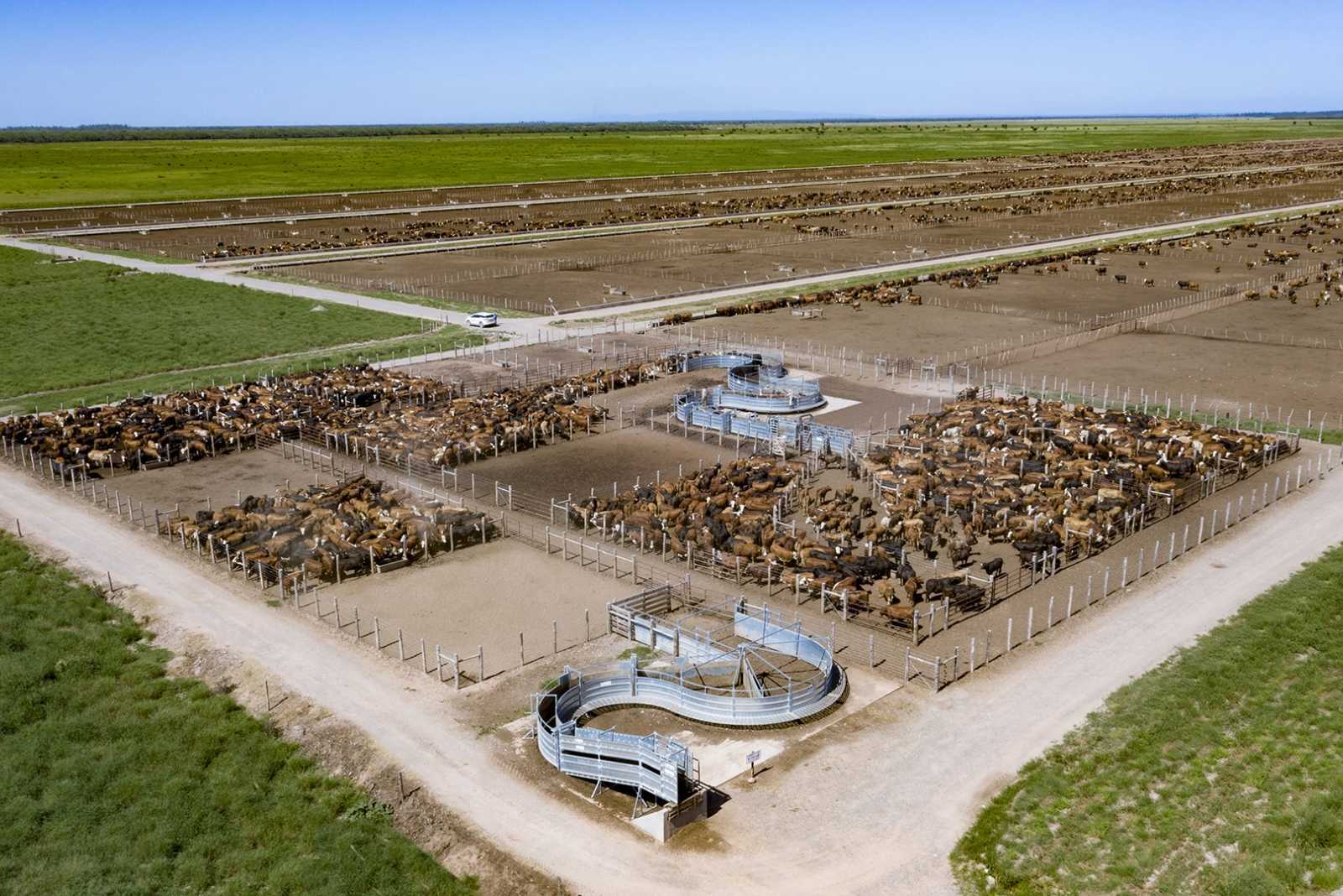 El mapa de los Feedlots Argentinos