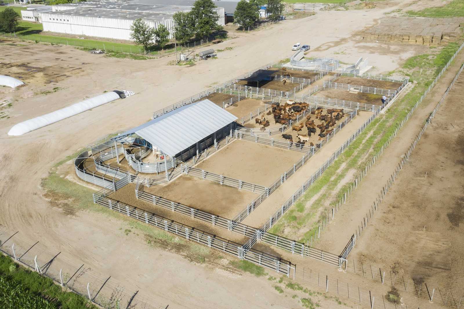 Nuevo Feedlot en La Cocha prov. de Tucumán