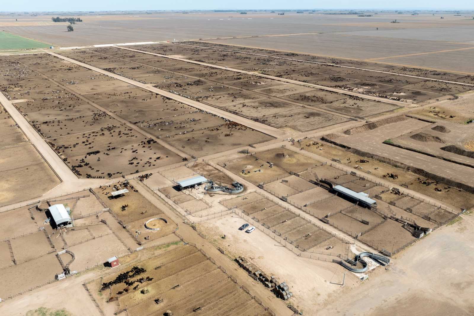 Instalación para Feedlot para la empresa Emprendimientos Agropecuarios El 29 S.A.