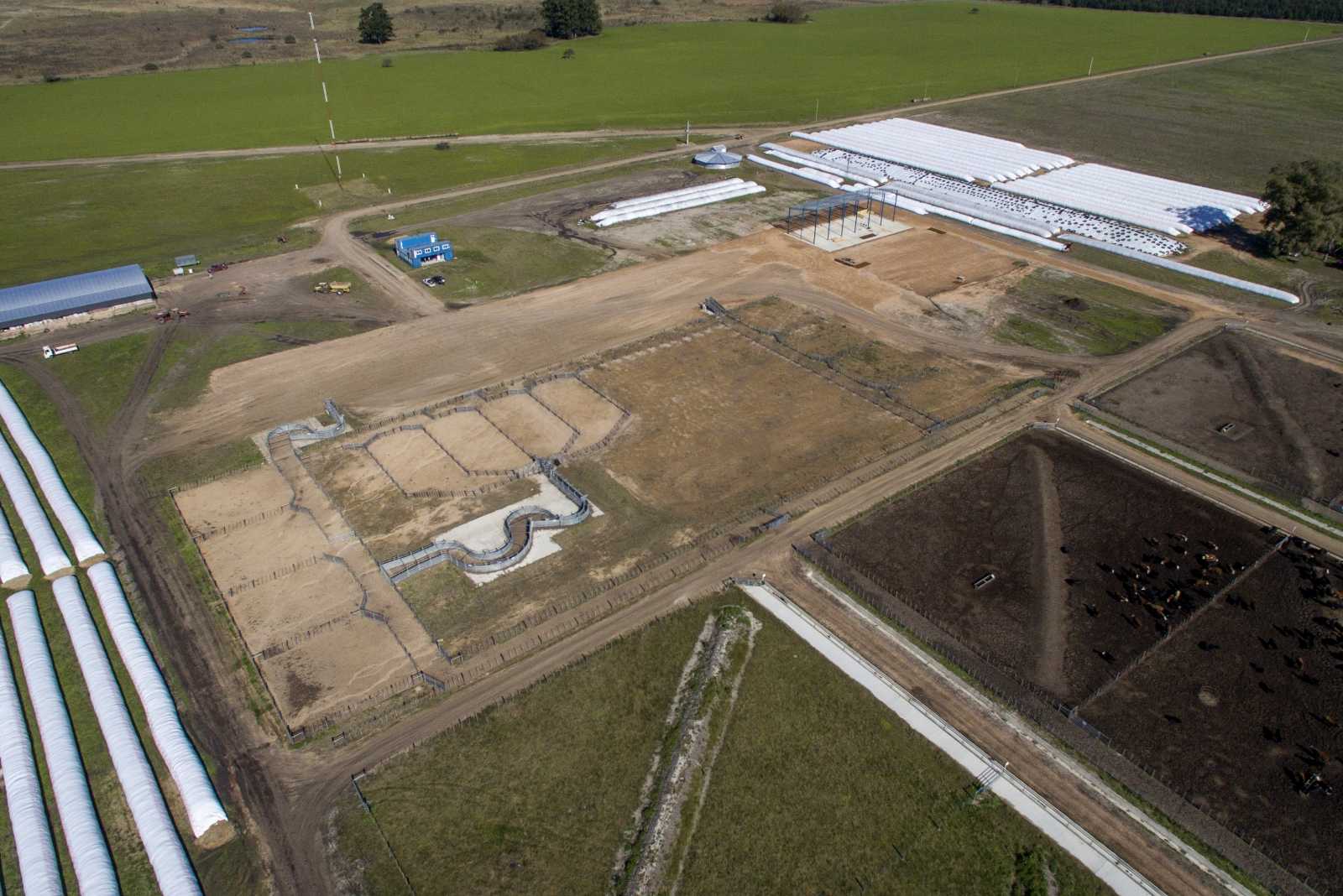 Feedlot en Colón prov. de Entre Ríos