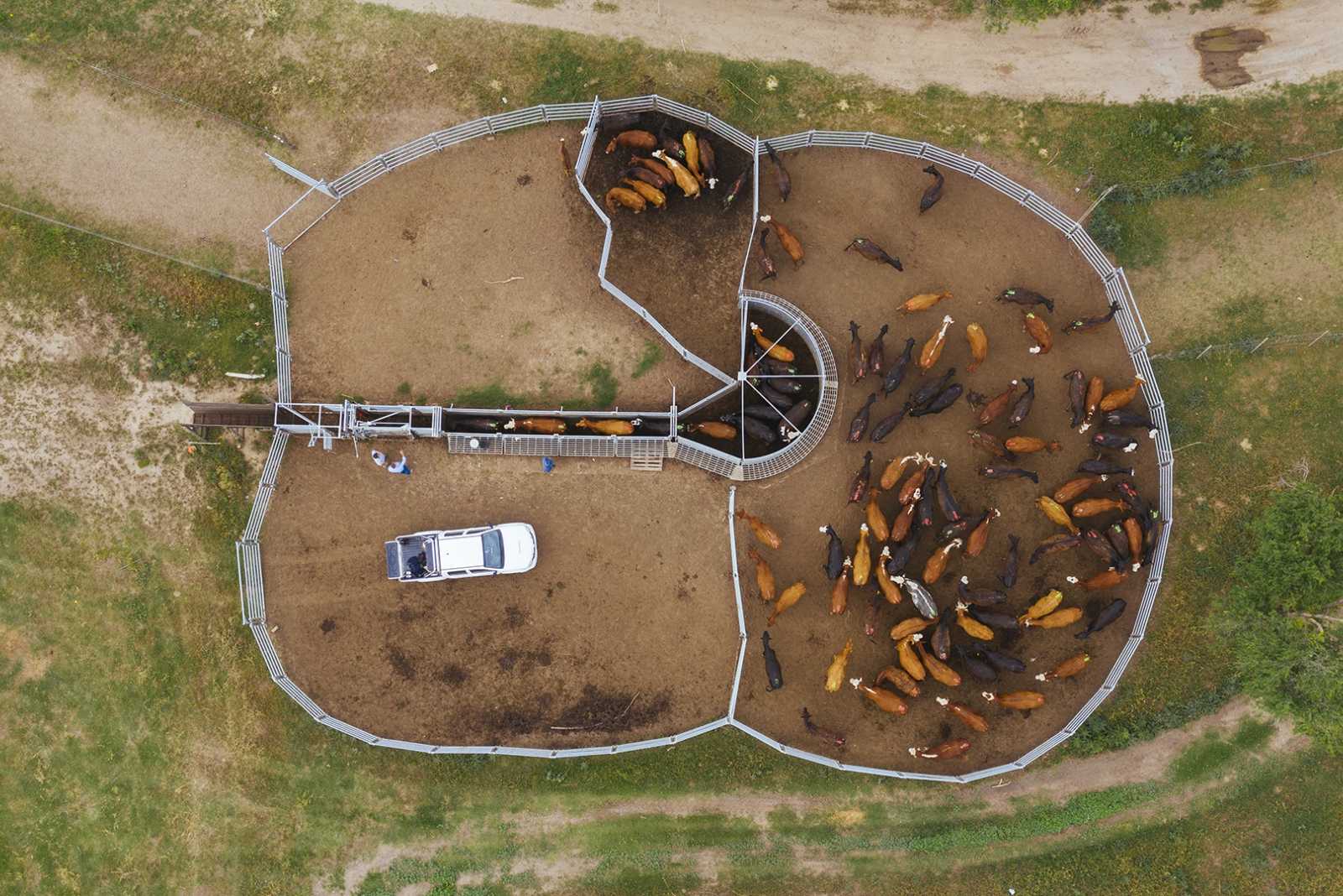 Corral Farmquip con Paneles móviles en Villa María prov. de Córdoba