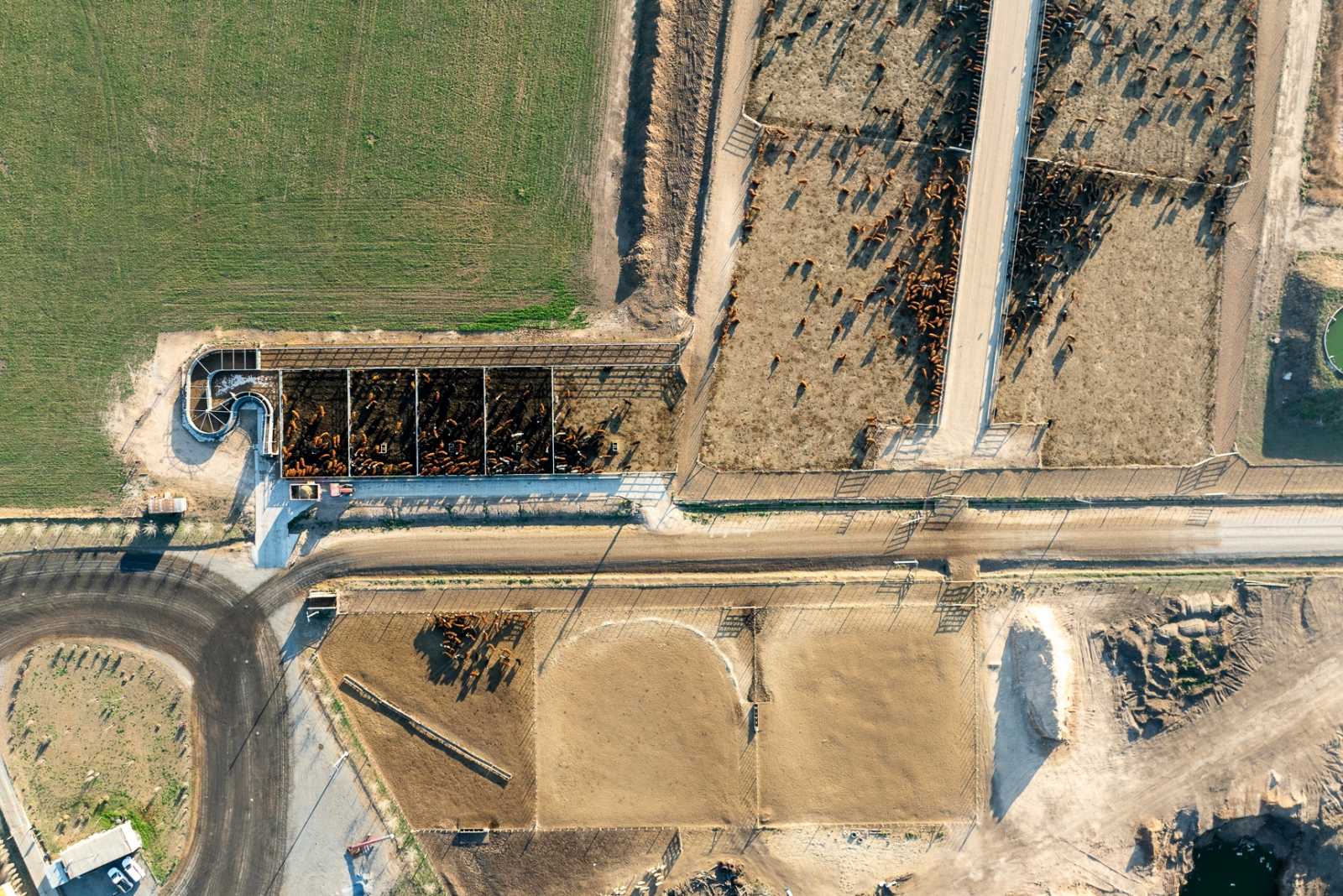 Nueva Instalación en Porvenir: Innovación y Eficiencia para Feedlots