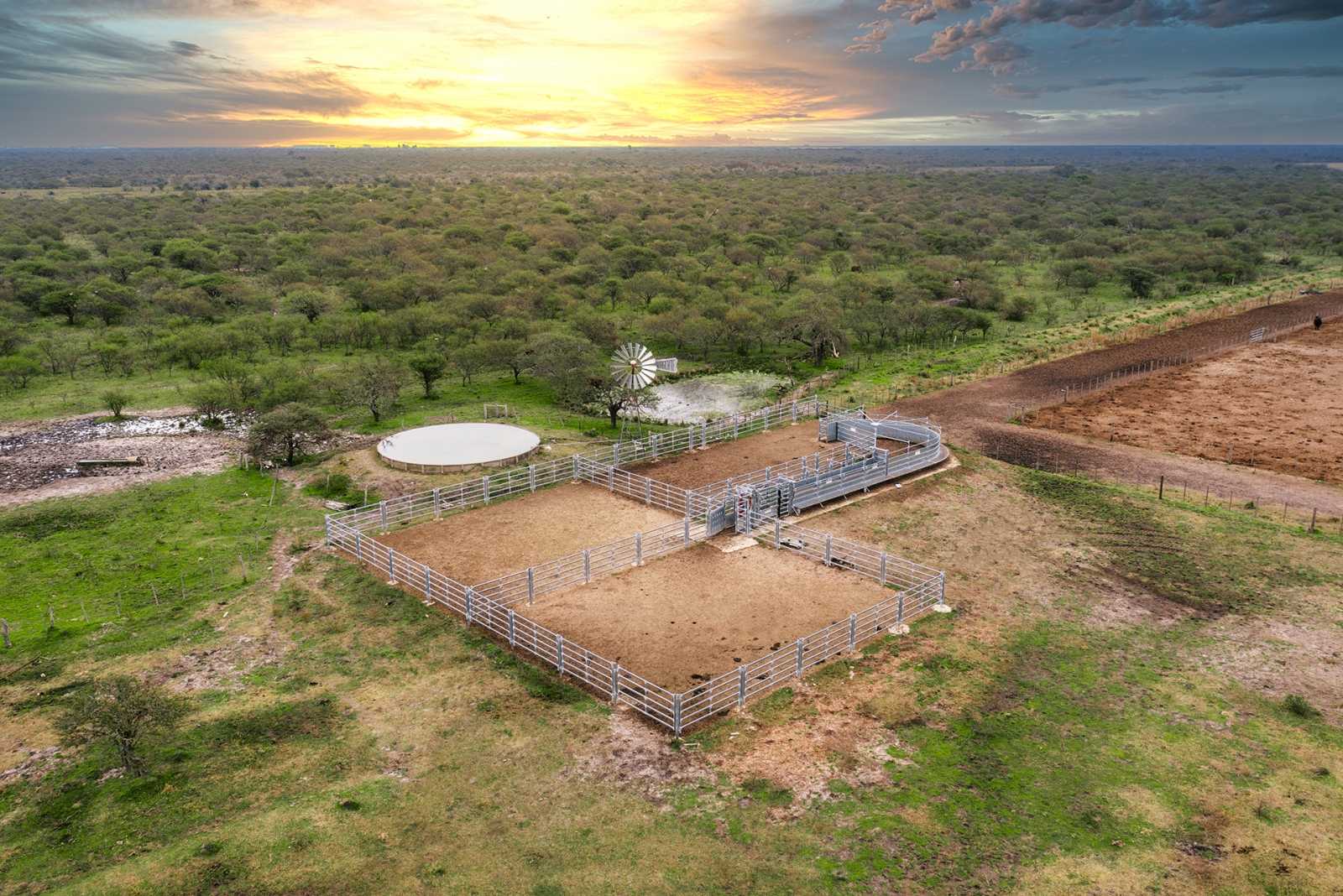 Feedlot en Federal provincia de Entre Ríos